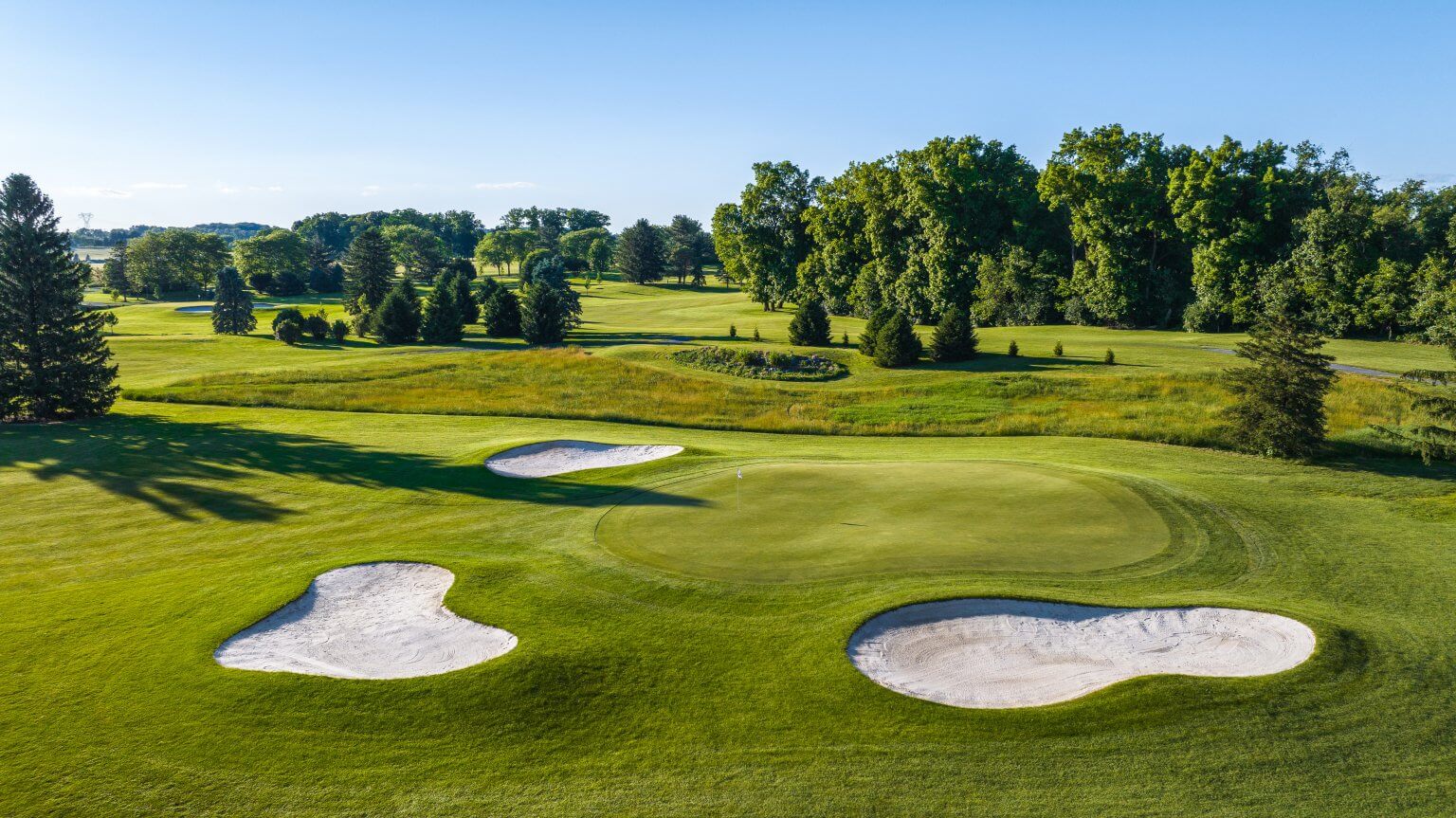 Close up on the green.
